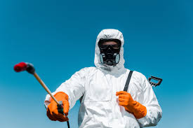 Best Mosquito Control  in Casa Grande, AZ